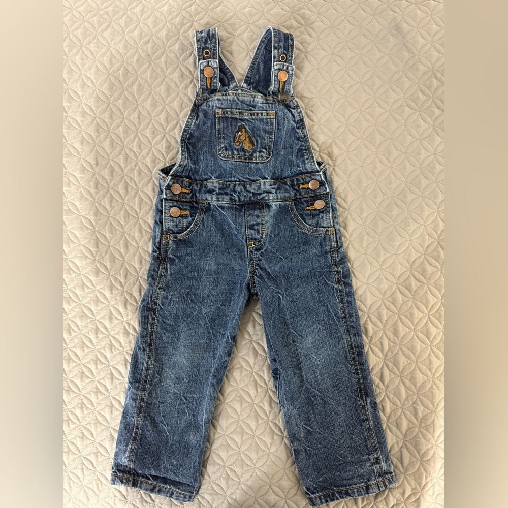 Wrangler Kids Blue Denim Overalls